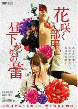 奇幻冒险剧山海拾光剧集资料图